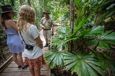 Daintree Rainforest, Cape Tribulation And Bloomfield Track Small Group Tour - Accommodation Australia 12