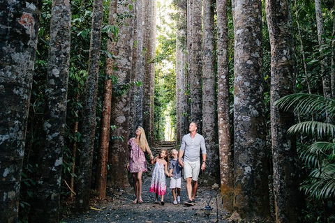 The Original Day Tour To Paronella Park, Lake Barrine And Millaa Millaa Falls - Local Tourism 14