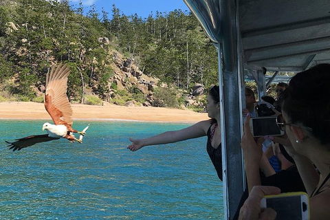 Aquascene Magnetic Island Discovery Tour - Australia Shopping 2