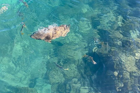 Aquascene Magnetic Island Discovery Tour - Australia Shopping 6