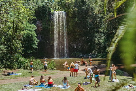 Atherton Tablelands Waterfalls And Rainforest Day Tour Departing Cairns - Accommodation Australia 4