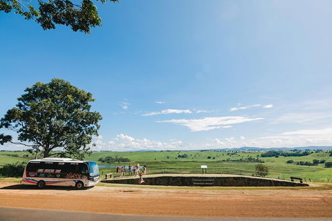 Atherton Tablelands Waterfalls And Rainforest Day Tour Departing Cairns - Accommodation Australia 9