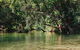 Atherton Tablelands Waterfalls And Rainforest Day Tour Departing Cairns - thumb 3