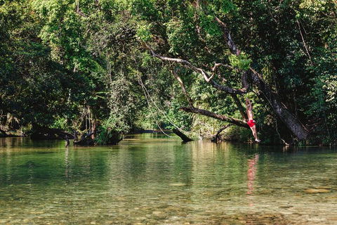 Atherton Tablelands Waterfalls And Rainforest Day Tour Departing Cairns - Accommodation Australia 3