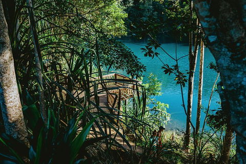 Atherton Tablelands Waterfalls And Rainforest Day Tour Departing Cairns - Accommodation Australia 5