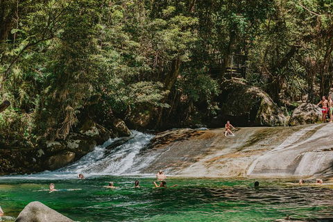 Atherton Tablelands Waterfalls And Rainforest Day Tour Departing Cairns - Accommodation Australia 8