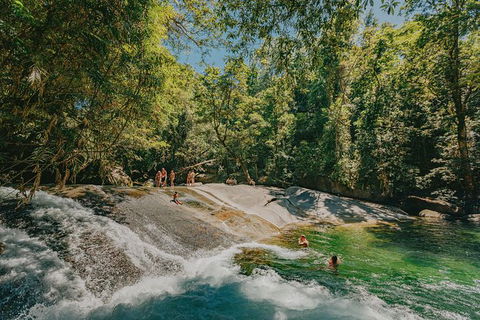 Atherton Tablelands Waterfalls And Rainforest Day Tour Departing Cairns - Accommodation Australia 0