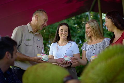 Daintree And Cape Tribulation Tour From Cairns - Accommodation Australia 1