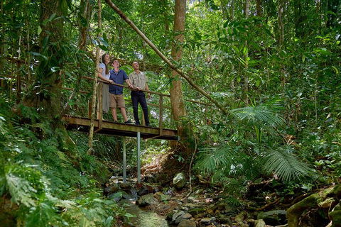 Daintree And Cape Tribulation Tour From Cairns - Accommodation Australia 3