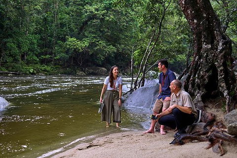 Daintree And Cape Tribulation Tour From Cairns - Accommodation Australia 2