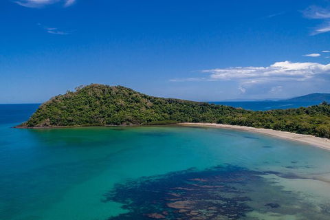 Daintree And Cape Tribulation Tour From Cairns - Accommodation Australia 7