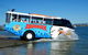 Aquaduck Gold Coast 1 Hour City And River Tour - thumb 6