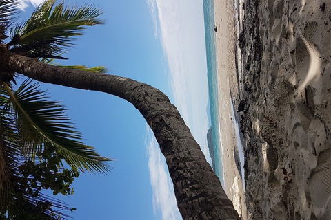 Airport Transfers Between Cairns Airport And Cairns City - Local Tourism 4