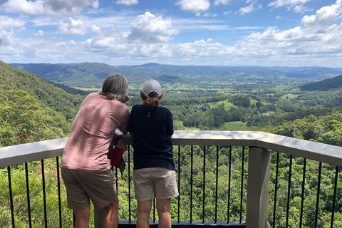 Scenic Food & Wine Tour Inc. Lunch, Cheese, Wine & Chocolate - Accommodation Australia 7