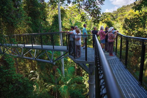 The Best Of Tamborine Mountain From The Gold Coast - Local Tourism 2