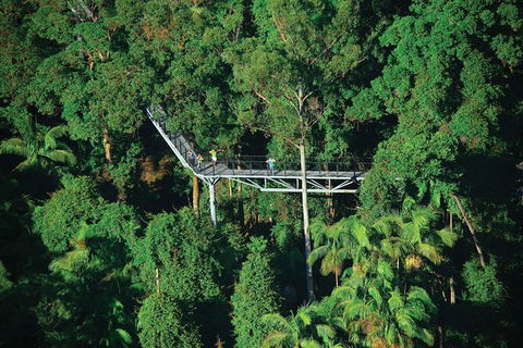 The Best Of Tamborine Mountain From The Gold Coast - Local Tourism 3
