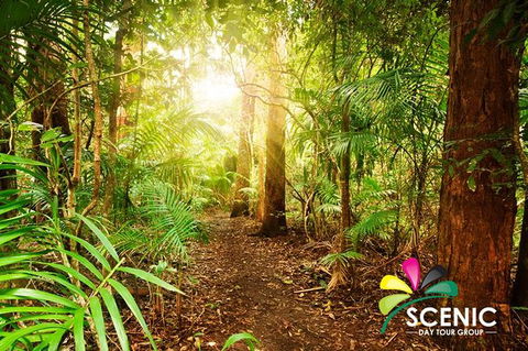 The Best Of Tamborine Mountain From The Gold Coast - Local Tourism 1