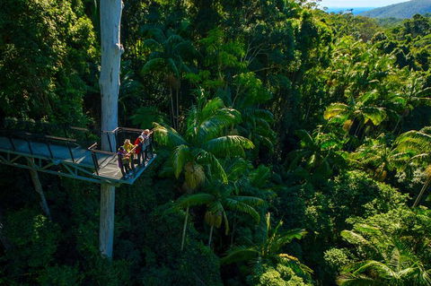 The Best Of Tamborine Mountain From The Gold Coast - Local Tourism 0