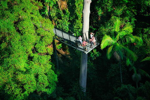 The Best Of Tamborine Mountain From The Gold Coast - Local Tourism 4