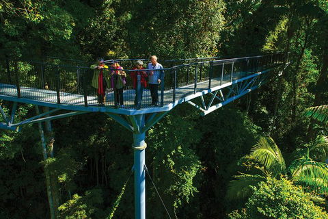 The Best Of Tamborine Mountain From The Gold Coast - Local Tourism 7
