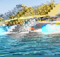 Gold Coast Quack'rDuck Amphibious Tour from Surfers Paradise - Australia Shopping