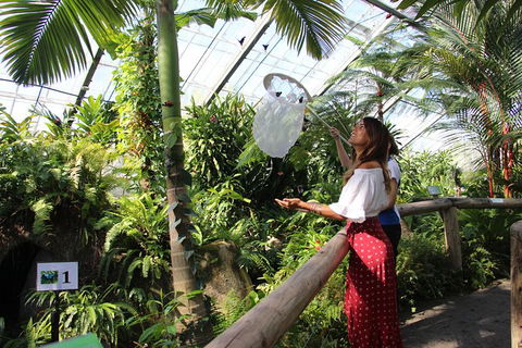 Australian Butterfly Sanctuary - Accommodation Australia 2