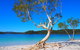 Fraser Island 4WD Tour From Rainbow Beach - thumb 1