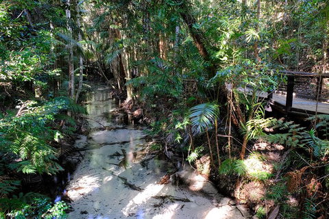 Fraser Island 4WD Tour From Rainbow Beach - Local Tourism 5