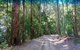 Fraser Island 4WD Tour From Rainbow Beach - thumb 4