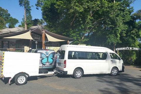 Airport Transfer To Or From Cairns Hotels For Up To 13 People (7am-10pm) - Accommodation Australia 3