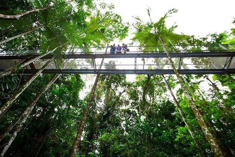 Daintree Discovery Centre Family Pass Ticket - Accommodation Australia 3