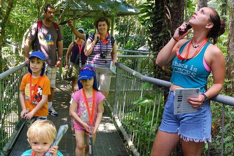 Daintree Discovery Centre Family Pass Ticket - Accommodation Australia 0