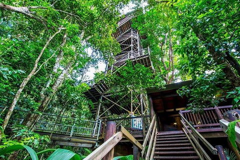 Daintree Discovery Centre Family Pass Ticket - Accommodation Australia 4