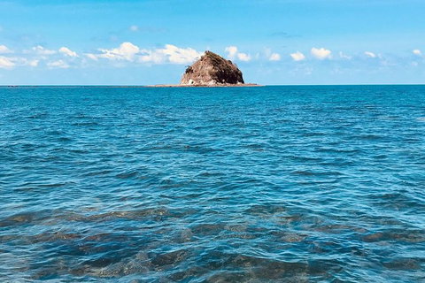 Exclusive Double Island Boat Tours From Palm Cove - Local Tourism 10