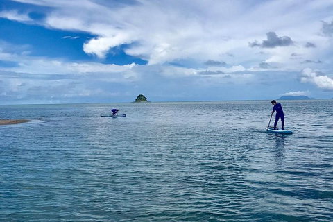 Exclusive Double Island Boat Tours From Palm Cove - Local Tourism 5