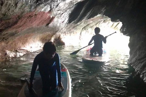 Exclusive Double Island Boat Tours From Palm Cove - Local Tourism 6