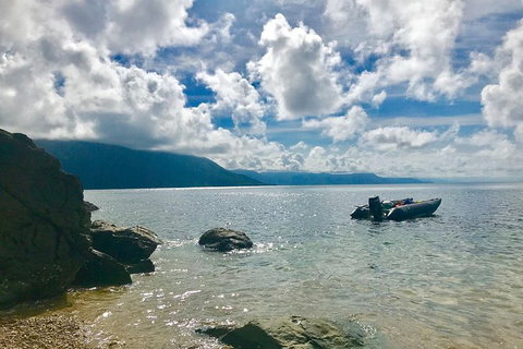 Exclusive Double Island Boat Tours From Palm Cove - Local Tourism 0