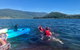 Exclusive Double Island Boat Tours From Palm Cove - thumb 9