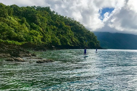 Exclusive Double Island Boat Tours From Palm Cove - Local Tourism 13