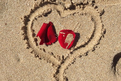 Elope In Paradise - Weddings At Mission Beach - Accommodation Australia 3