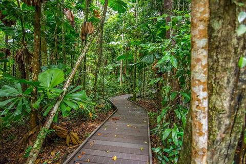 Daintree Afternoon Nocturnal Nature And Wildlife Tour - Accommodation Australia 9