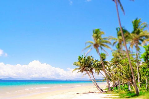 Airport Transfer - Mission Beach To Cairns Airport - Accommodation Australia 3