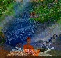 Private Tour - Rainforest  Waterfalls Extravaganza - Australia Shopping