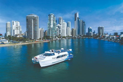 Hop On Hop Off Day Pass | Hopo Gold Coast Ferry - Australia Shopping 2