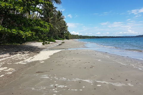 Airport Transfers Between Cairns Airport And Palm Cove - Accommodation Australia 2