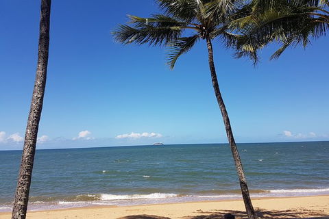 Airport Transfers Between Cairns Airport And Palm Cove - Accommodation Australia 8