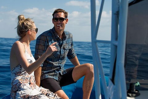 Private Tangalooma Wrecks Tour - Australia Shopping 2