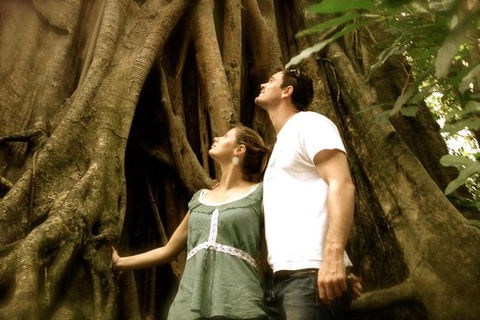 Daintree And Cape Tribulation Full Day Guided Tour - Accommodation Australia 0