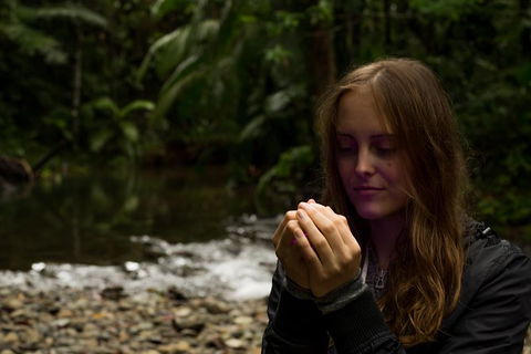 Daintree And Cape Tribulation Full Day Guided Tour - Accommodation Australia 4