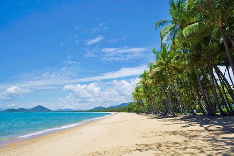 Airport Transfer - Cairns Airport To Palm Cove, Kewarra & Trinity Beaches - Accommodation Australia 4